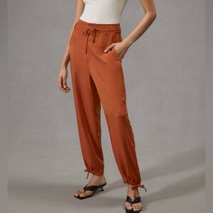 Anthropologie Tiny Bronze Heidi Pants XL